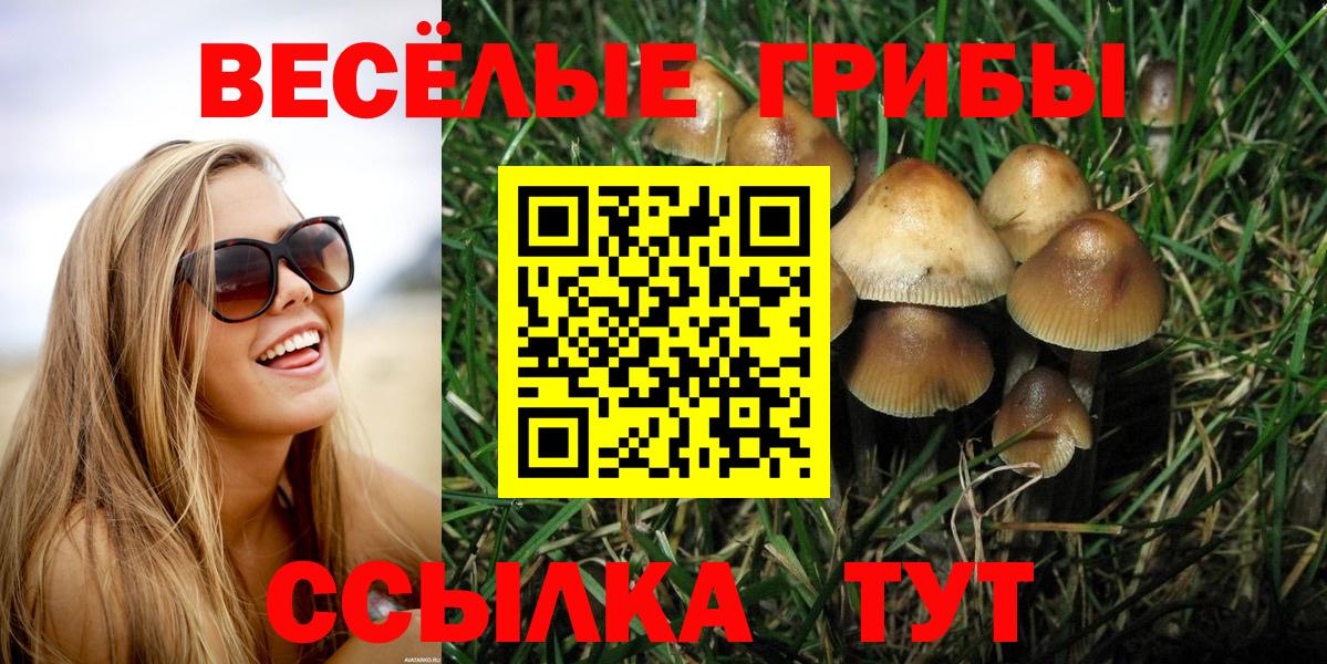 Галлюциногенные грибы мухоморы Родники