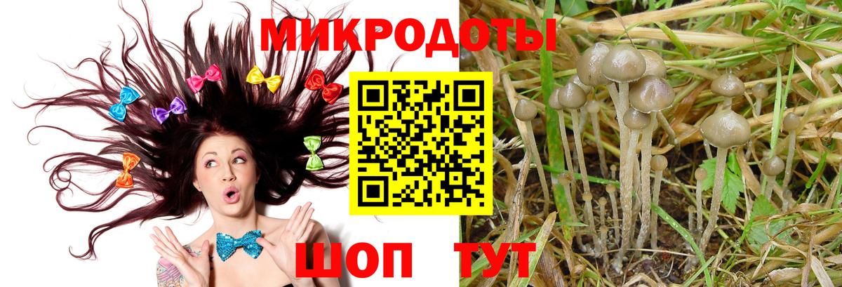 Родники  Псилоцибиновые грибы мухоморы  Вход с VPN 